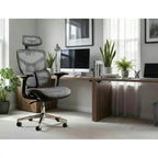 Scaun de birou EQ-1