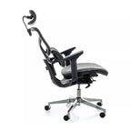 Scaun de birou EQ-1, vedere din alt unghi, imaginea 5
