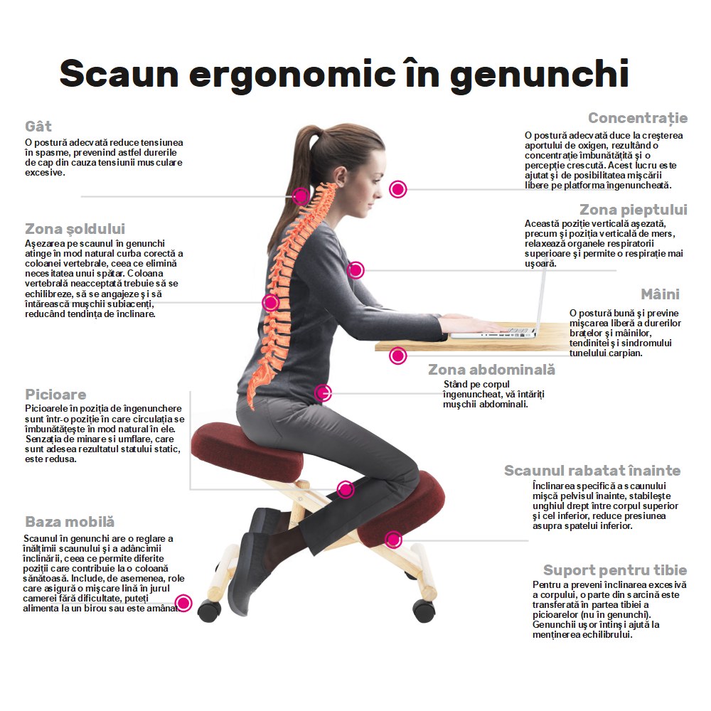 Scaun de birou Renar – schiță cu dimensiuni