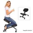 Scaun ergonomic, FLONET