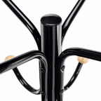 Cuier VASIL, negru / natural